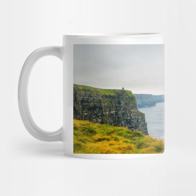 Cliffs of Moher, County Clare, Ireland 5 by mbangert